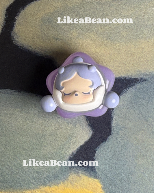 Pop Bean Lucky Star Series (Limited Park Edition) - Skullpanda