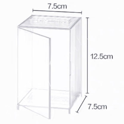 Art Toy Familia - Classic Transparent Blindbox Display Box - 146 Box Only No Doll